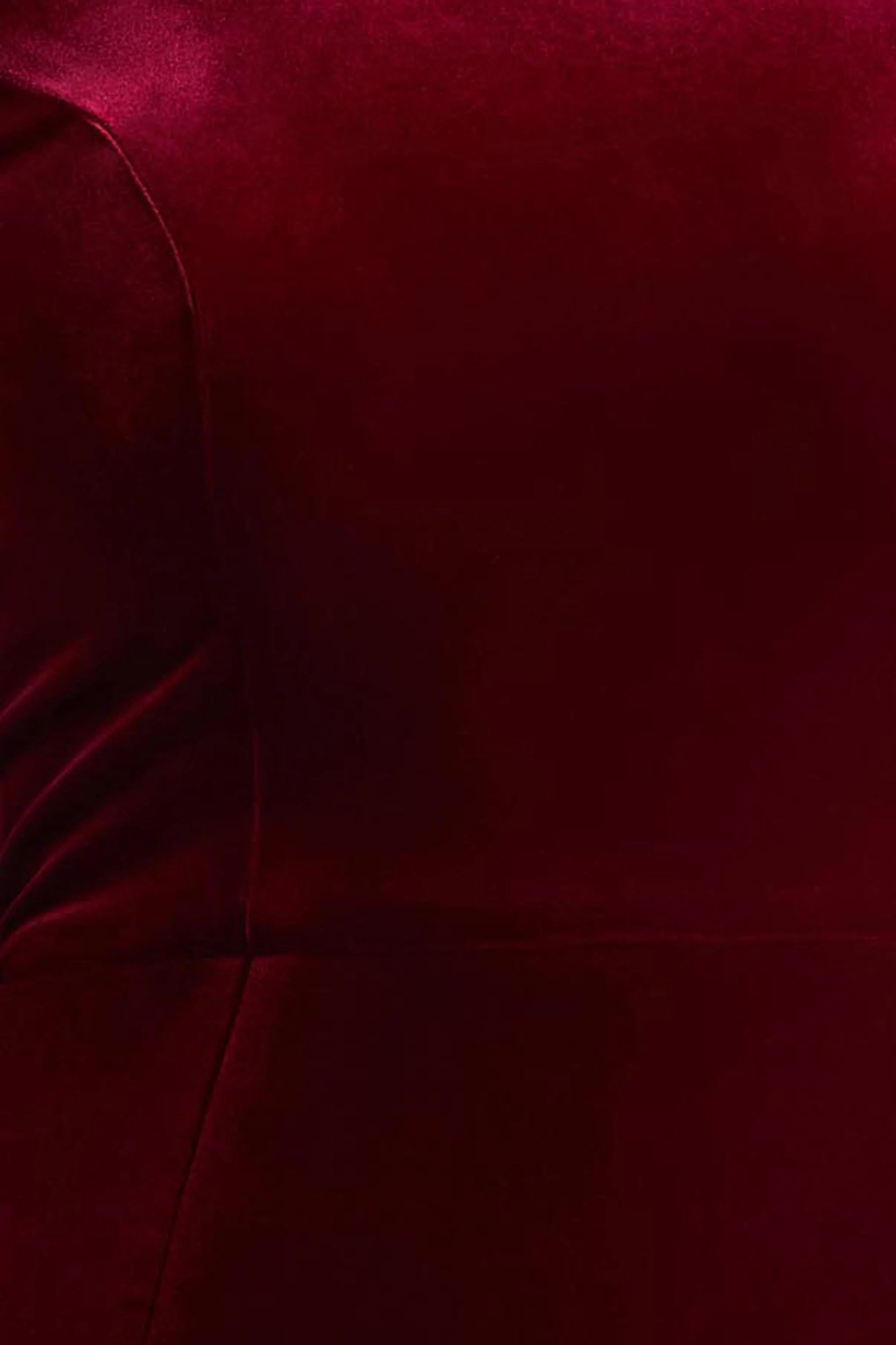 Margot | Burgundy High-Neck Velvet Mini Dress With Embellished Detail